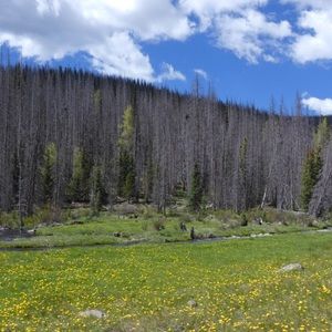 Meet your Posher, Carson